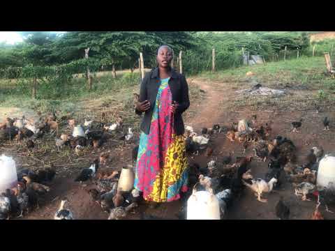 Video: Njia 8 za Kutumia Aloe Vera Kutibu ukurutu