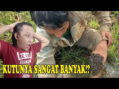 KUTU HEWAN  TERBANYAK DI KAKI MANUSIA