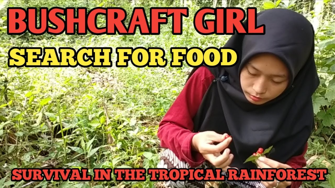 BUSHCRAFT GIRL SEARCHING FOR FOOD, SURVIVAL IN THE TROPICAL RAINFOREST ...