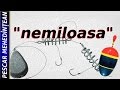 "Nemiloasa" - montur? pentru caras ?i crap