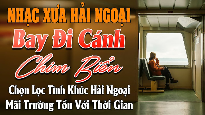 Nhạc bolero tiếng anh là gì năm 2024