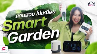 ซีว่าดี IOT เปลี่ยนการดูแลต้นไม้ให้ง่ายด้วยเทคโนโลยี RainPoint&Toyox l Ceemeagain