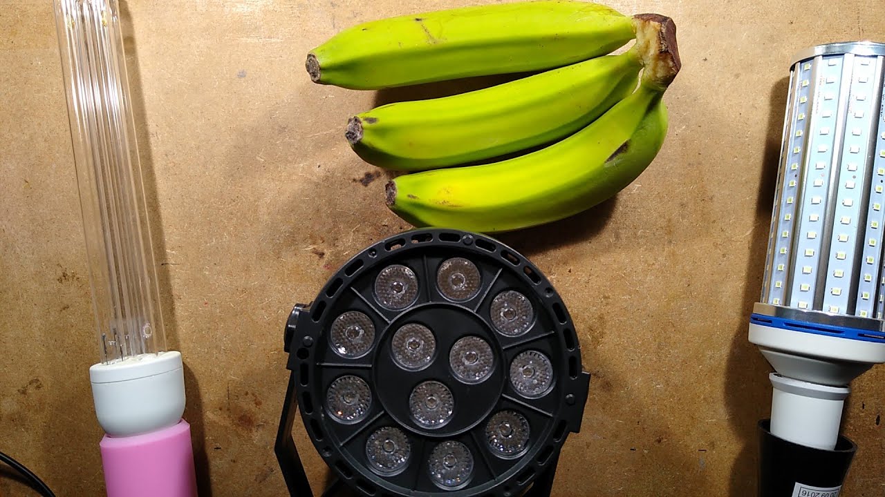 Ультрафиолетовая лампа дома: насколько она эффективна? Как отличить поддельную УФ-лампу от настоящей. Фото.