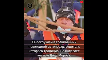 В Москву везут главную елку страны
