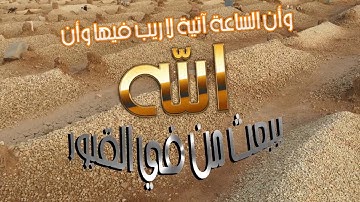 تلاوة رائعة سورة فصلت الشيخ ياسر الدوسري www.qoranet.net
