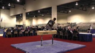 Leroy Clarke  -  Pommel Horse - 2016 Winter Cup Prelims