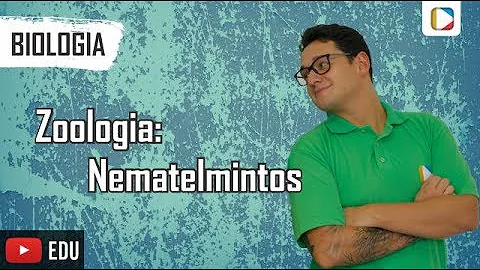 Como se dá a excreção dos nematelmintos?