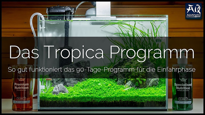 Meine Bewertung zum Tropica 90-Tage-Programm | AquaOwner