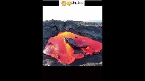 اقسم بالله ستضع الإعجاب من دون انتحس !! تلاوة تبكي الحجر