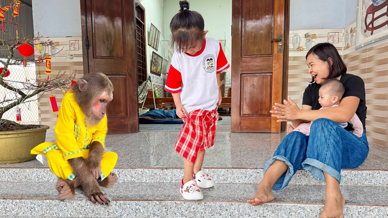 CUTIS farmer harvest eggs & do special thing for Yen Nhi