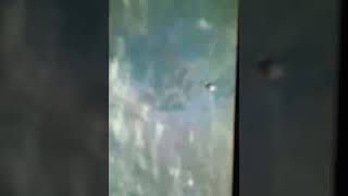 Keo Space Craft - Aftermath Population Zero