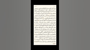 الورد اليومي: 4 صفحات (161-162-163-164) لتجنب هجر القرآن | تذكير يومي مستمر #قرآن #تلاوة