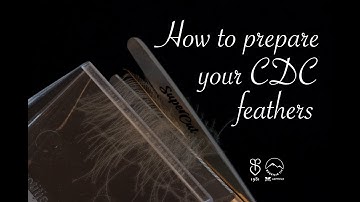 How to prepare CDC feathers for a split thread - Mountainfly Fly Tying - Fly Tying Academy
