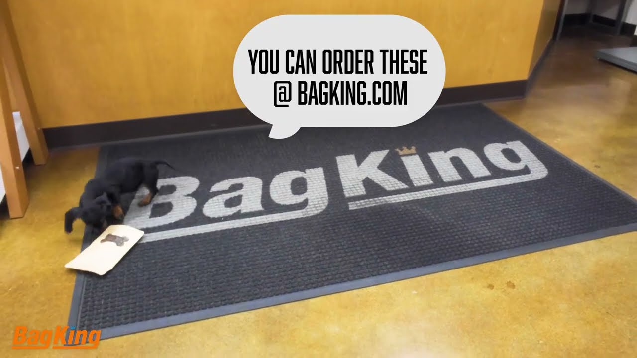 Alba Paw And Bone Kraft Bag