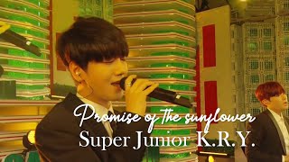 SUPER JUNIOR K.R.Y. PROMISE OF THE SUNFLOWER ひまわりの約束 向日葵的约定 2015