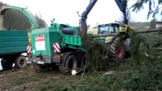 Claas Jenz 561 Hacker Hackschnitzel