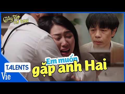 Video: Tại Sao Táo Và Mận Dại Lại Chua