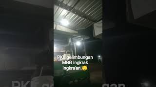 Lakon Opo Iki Yo Woo Woooo