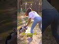 Running Together in Joy #Shorts #DogLovers #SimpleJoy #viralvideo