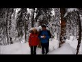 Испытания трекера Спас в лесу на лыжах (избы Санататюшка, Третьяковка, Землянка)