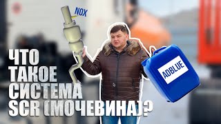 Что такое система SCR (мочевина)? #1