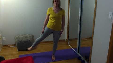 Exercise Progression and Exercise Regression video.