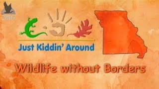 Animal Migration - Just Kiddin' Around (2007)