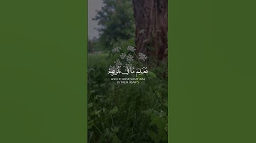 سورة / الفتح 📖 آية / ١٨ ♡ القارئ: عبد الرحمن مسعد. قرآن