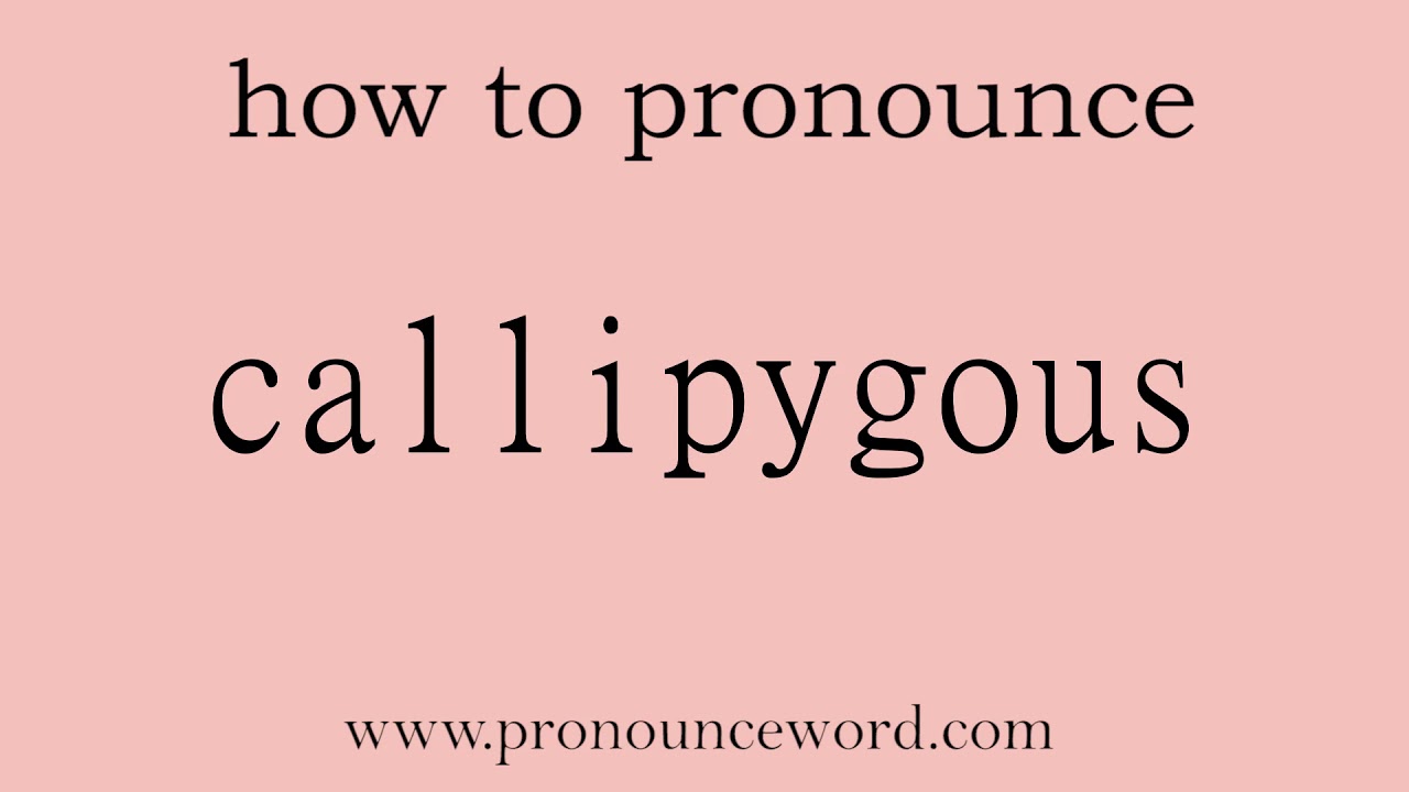 callipygous. How to pronounce the english word callipygous .Start