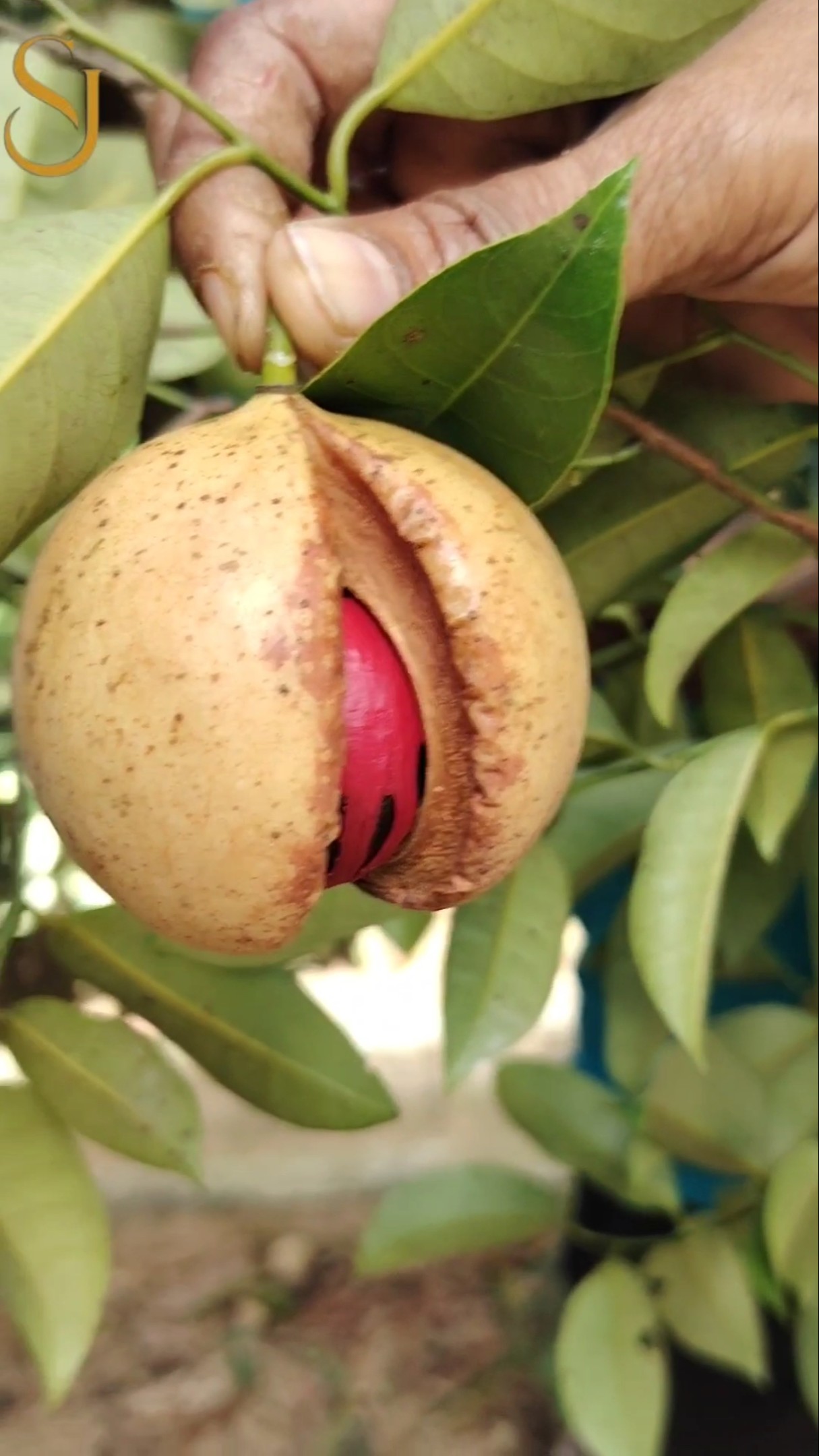 💪ஆரோக்கிய தகவல்கள்🩺 - ShareChat