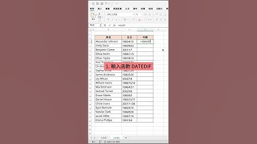 【Excel】DATEDIF 函數計算年齡