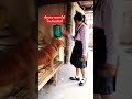 น้องหมาอยากไปโรงเรียนกับพี่ #หมาที่ชื่อมะลิ🐶 #หมาน่ารัก #คนรักหมา