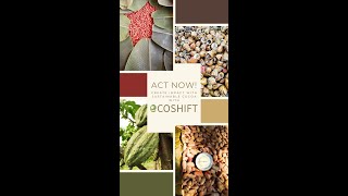 Act Now: Create Impact with Sustainable Cocoa with ECOSHIFT