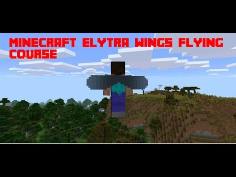 minecraft elytra course 1.13.2 download