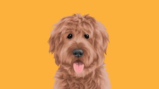 SPEED ART Curly Hair Vector Pet eps02 | Adobe Illustrator