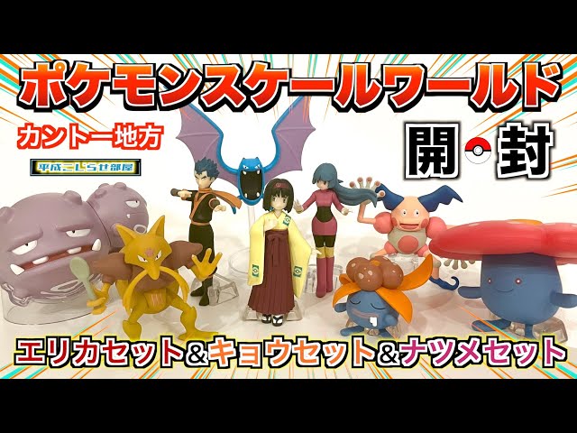 ポケモン スケールワールド エリカセット 開封済み ポケモン スケールワールド エリカセット 開封済み