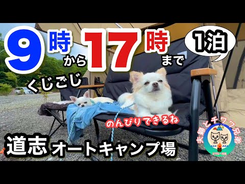 夏も涼しい道志 犬連れ解禁【クジゴジ道志オートキャンプ場