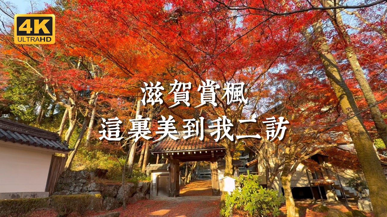 【日本一人旅 EP21】京都賞楓別只去嵐山!隔壁鄰居這條琵琶湖旁的小眾路線,美到我二訪|舊竹林院、日吉大社、滋賀院門跡、律院、西教寺 縮圖