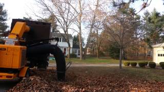 Kevin's Lawn - Vacuuming up a huge leaf pile