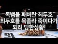 UFC 최두호 vs. 베트남 독뱀 | 제264회 프리미엄 매치