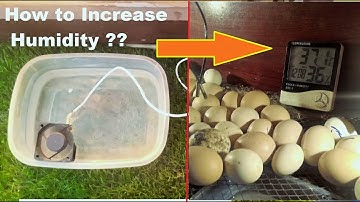 How to Increase HUMIDITY in Egg Incubator | Cheap Idea to Increase Humidity In egg incubator
