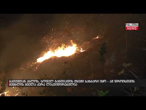 ბათუმთან ახლოს, სოფელ განთიადის ტყეში ხანძარი იყო - ამ დროისთვის ცეცხლის ყველა კერა ლიკვიდირებულია