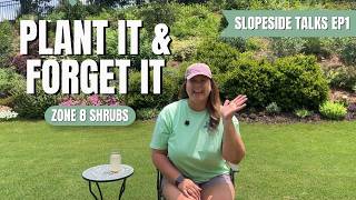 My 18 Favorite Low Maintenance Evergreen Shrubs | Slopeside Talks