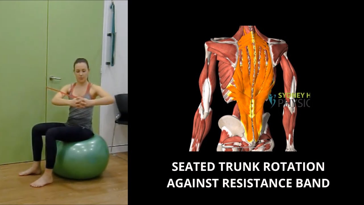 Seated trunk rotation against resistance band YouTube