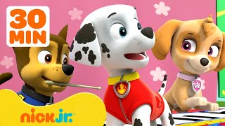 PAW Patrol Teamwork Rescues \& Adventures! w\/ Chase and Skye 💗 30 Minute Compilation | Nick Jr.