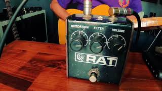 1986 Proco RAT with Telecaster