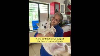 70 adopted Babies (30 Dogs & 40 Cats): A Fundraiser Documentary at Mookambika's Home