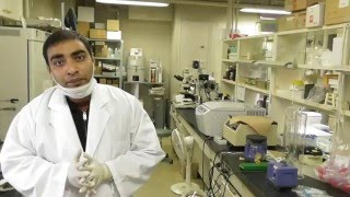 Introduction of Pharmacokinetic study using rat model