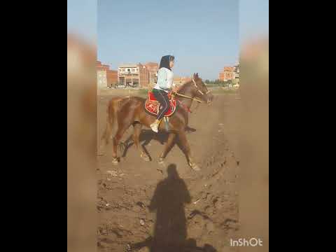 ٢٢ مارس ٢٠٢٣