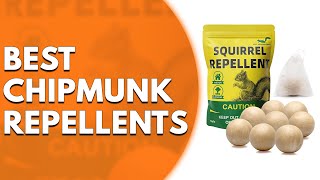 3 Best Chipmunk Repellents That Work Longterm Our Top Picks